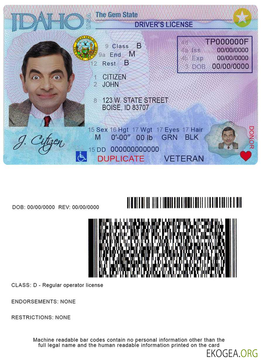 USA Idaho driver license